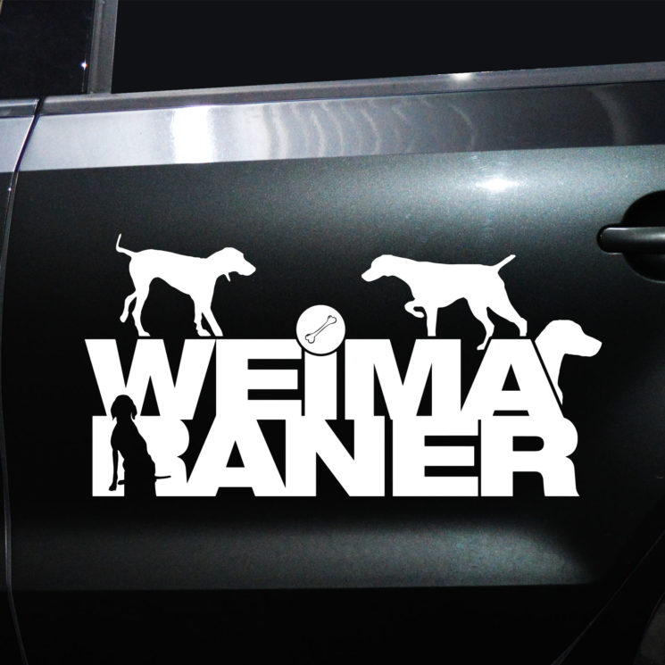 Autoaufkleber Weimaraner – Bild 2